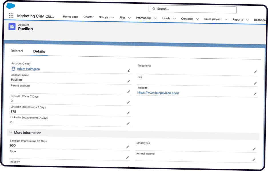 Salesforce account details